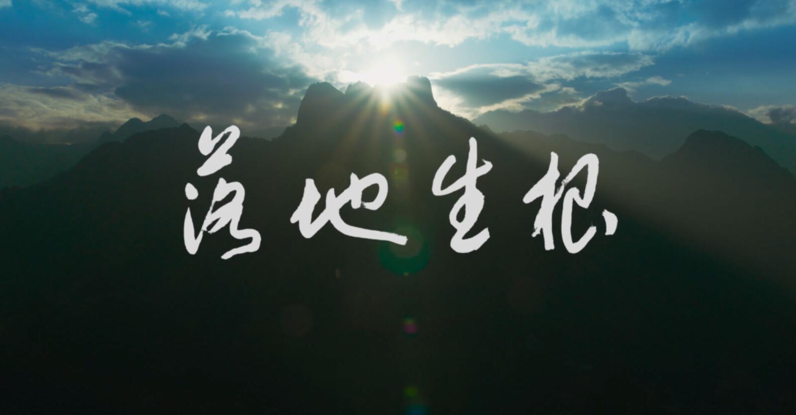 QQ截图20230602161002.jpg